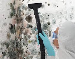 Mold Remediation for Rental Properties in Jan Phyl Village, FL